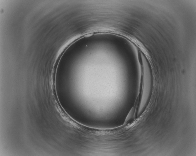 X0000087680904200705181726