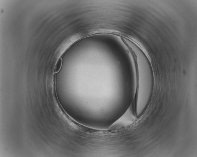 X0000087680906200705181726