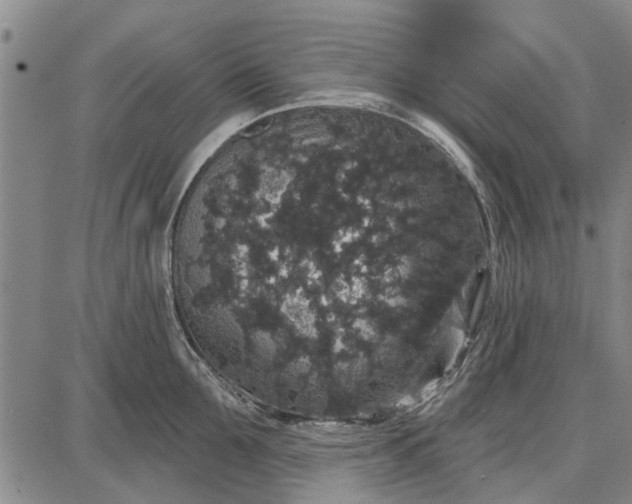 X0000087680907200705181726