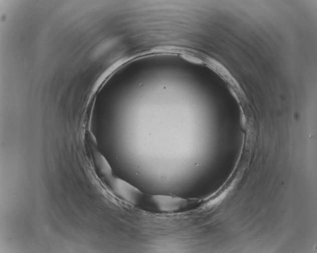 X0000087680908200705181726