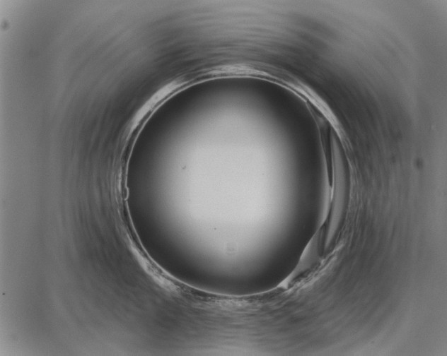 X0000087680909200705181726