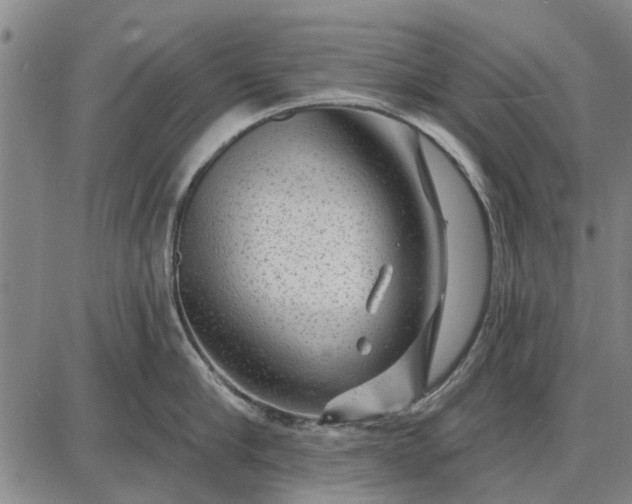 X0000087680910200705181726