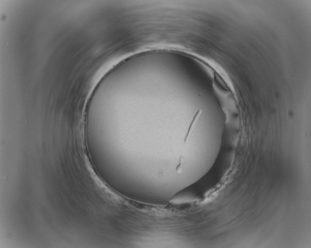 X0000087680911200705181726