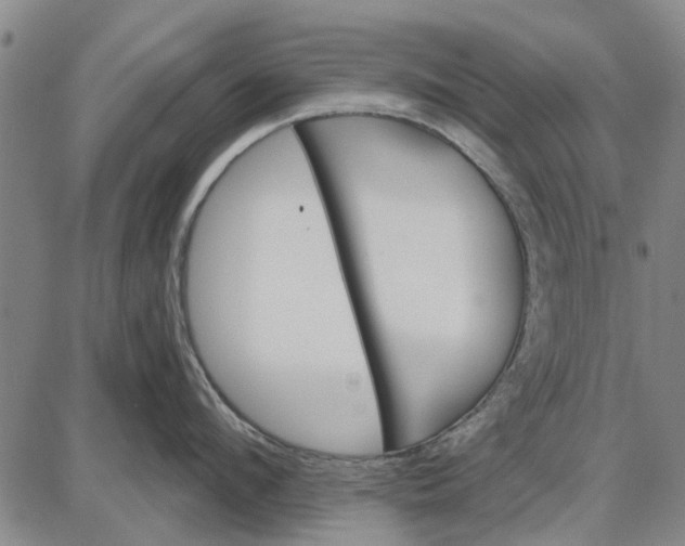 X0000087680912200705181726