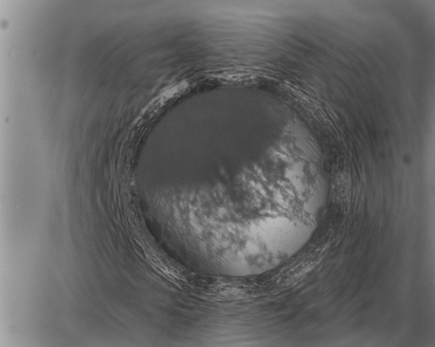 X0000087680913200705181726