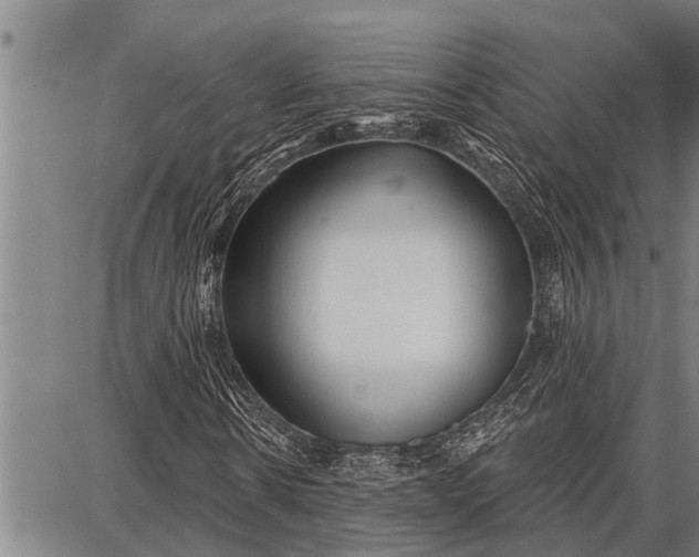 X0000087680914200705181726