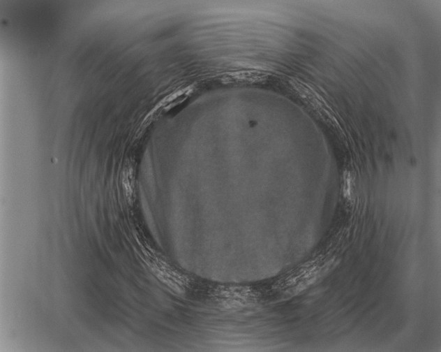 X0000087680915200705181726