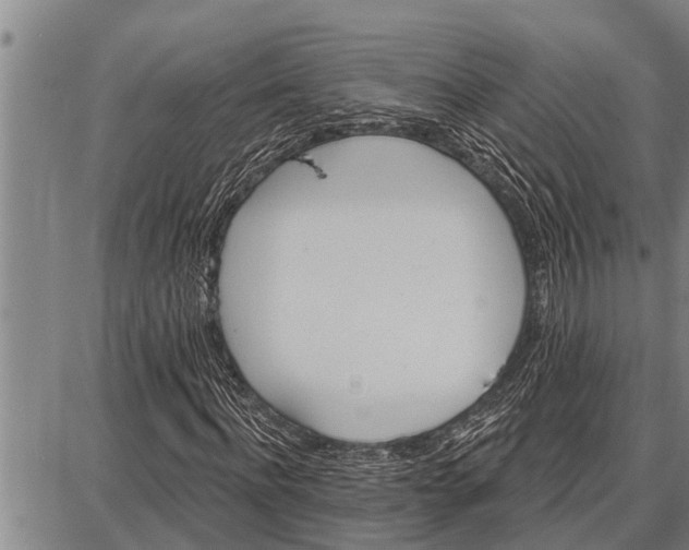 X0000087680916200705181726