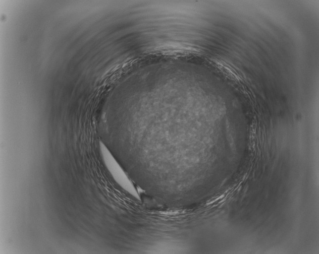 X0000087680917200705181726