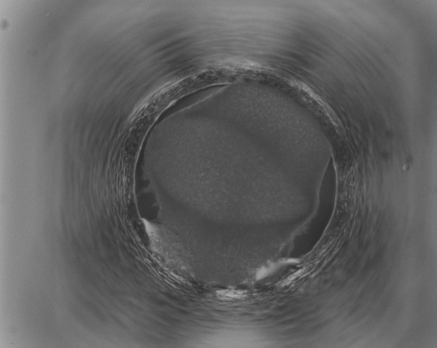 X0000087680919200705181726