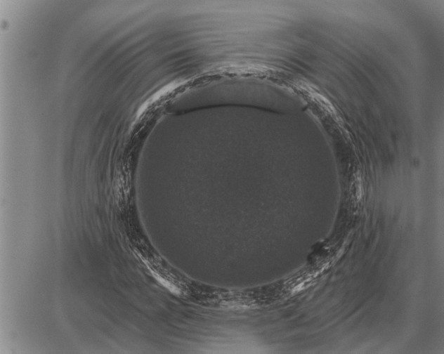 X0000087680920200705181726