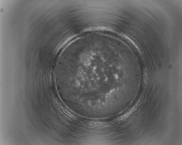 X0000087680921200705181726