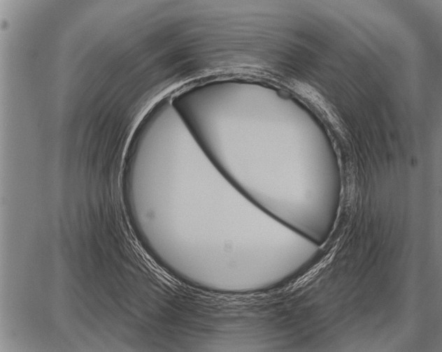 X0000087680924200705181726