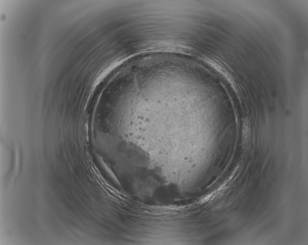 X0000087680925200705181726