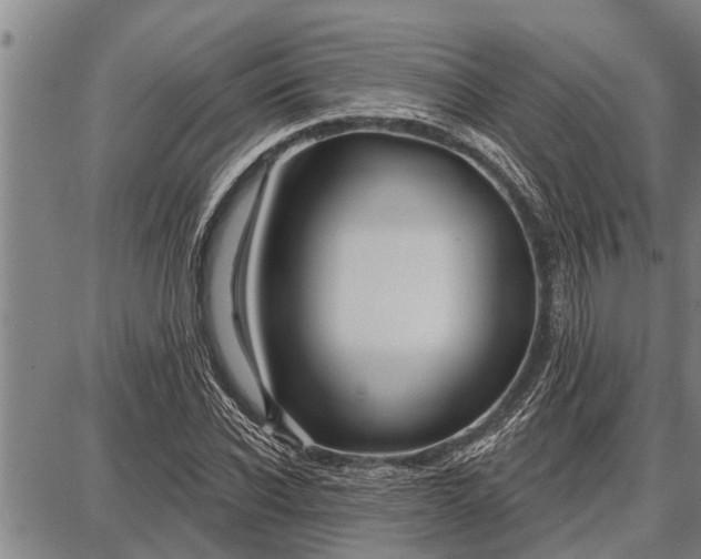 X0000087680926200705181726