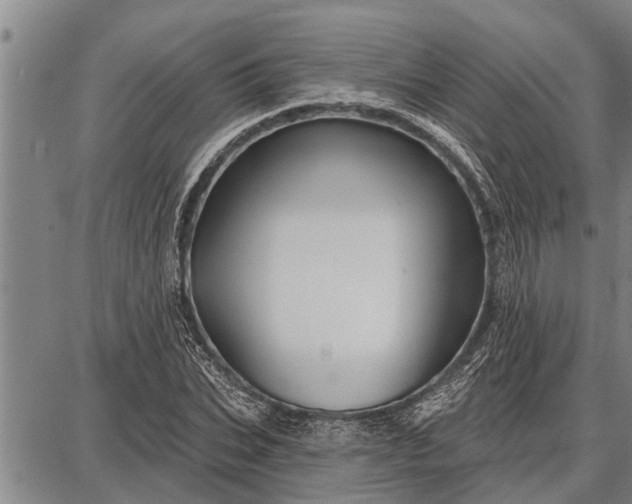 X0000087680927200705181726