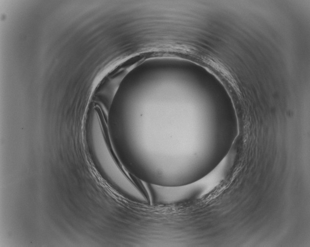 X0000087680928200705181726