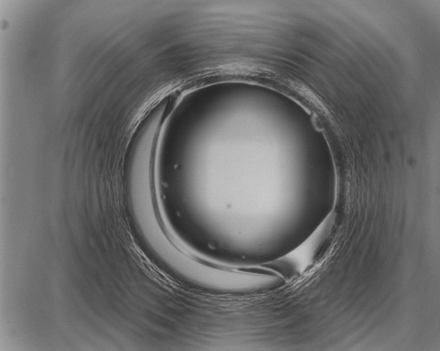 X0000087680930200705181726