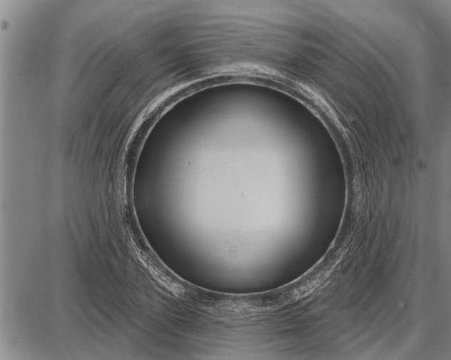 X0000087680931200705181726