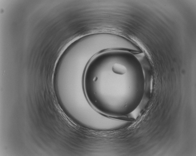 X0000087680932200705181726