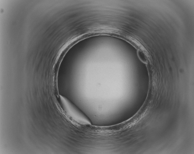 X0000087680933200705181726