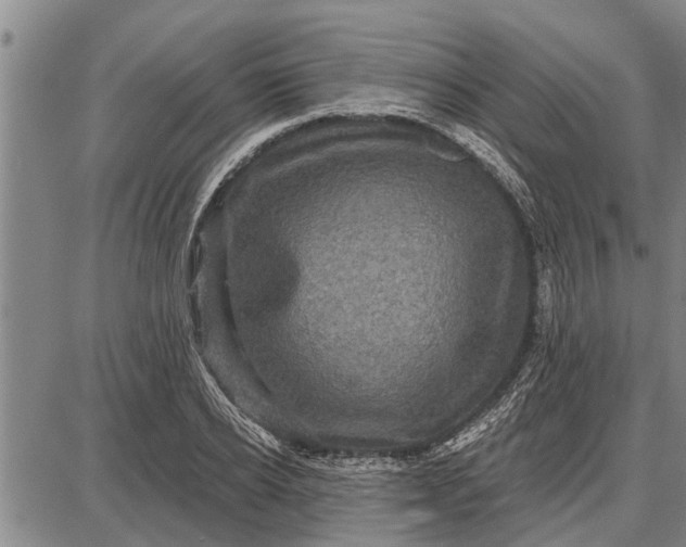 X0000087680934200705181726