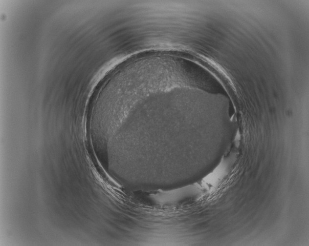 X0000087680935200705181726