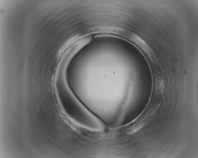 X0000087680936200705181726