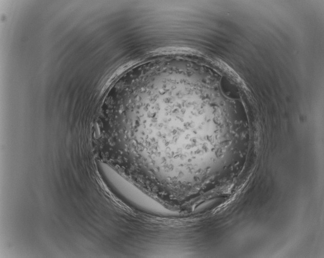 X0000087680937200705181726