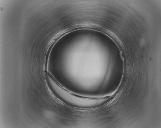 X0000087680938200705181726