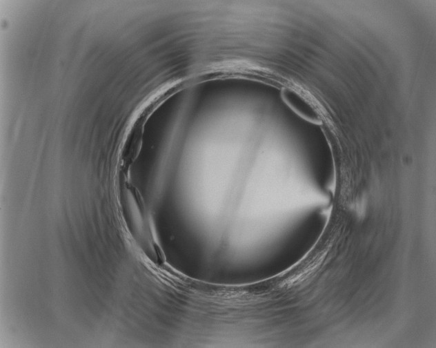 X0000087680939200705181726