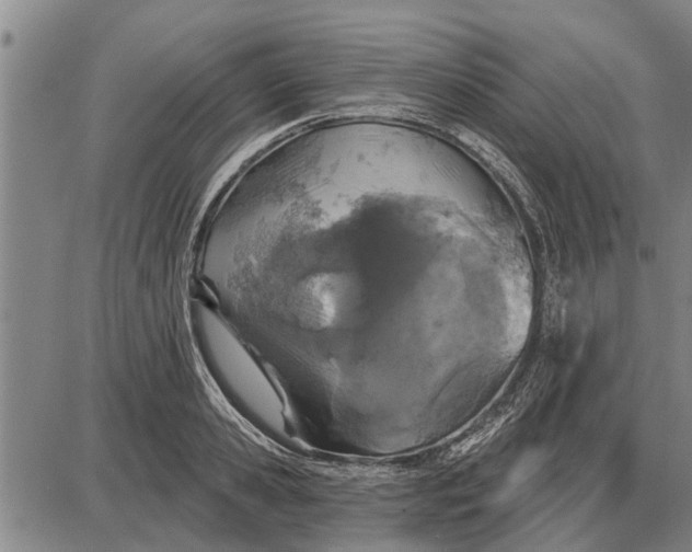 X0000087680941200705181726