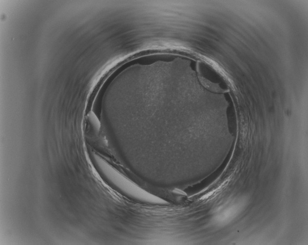 X0000087680943200705181726