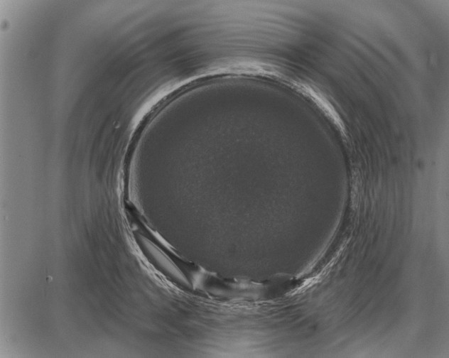 X0000087680944200705181726