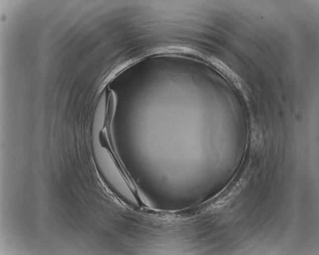 X0000087680945200705181726