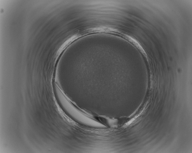 X0000087680946200705181726