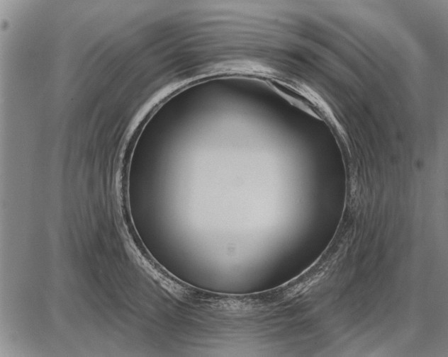 X0000087680947200705181726