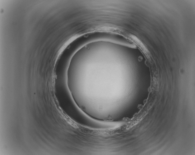 X0000087680948200705181726