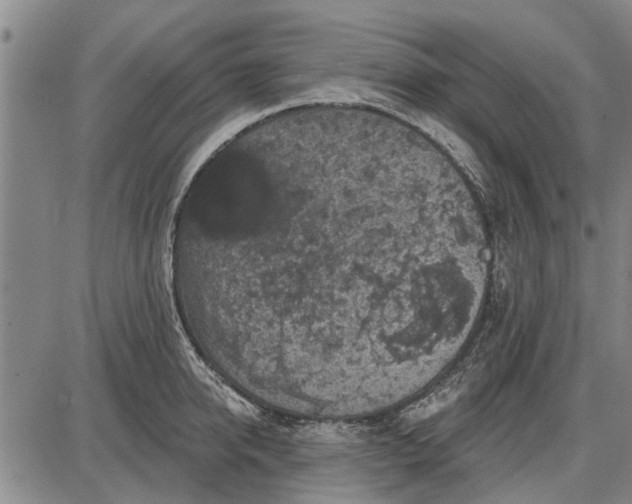 X0000087680950200705181726