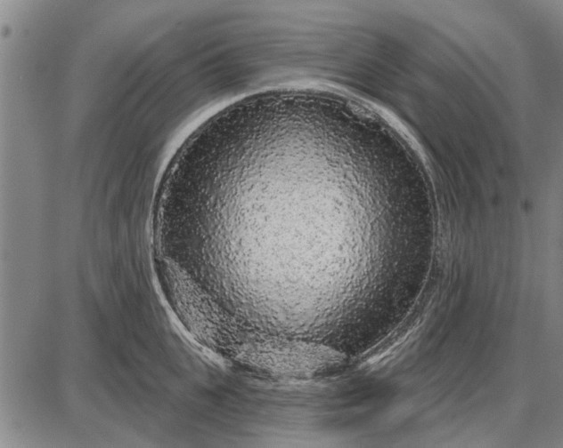 X0000087680951200705181726