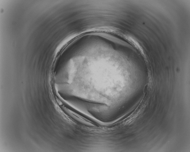 X0000087680952200705181726