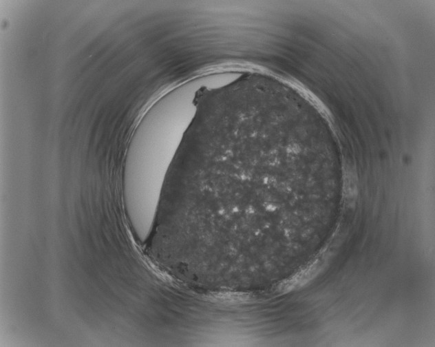 X0000087680953200705181726