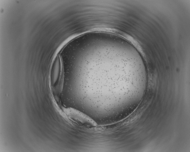 X0000087680955200705181726