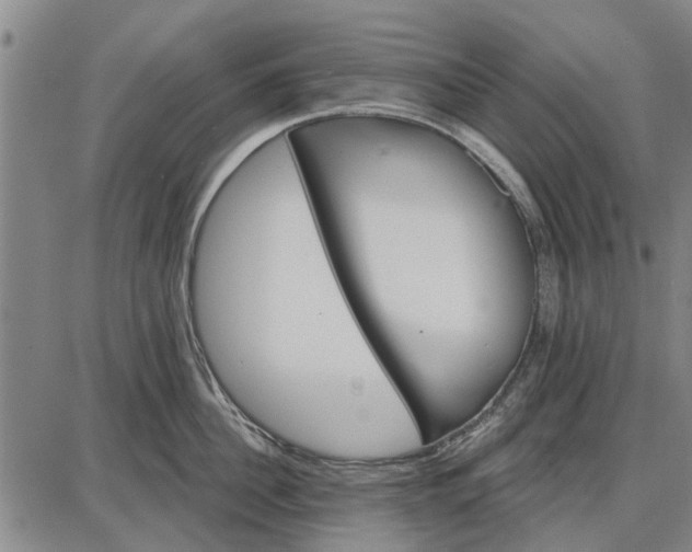 X0000087680956200705181726