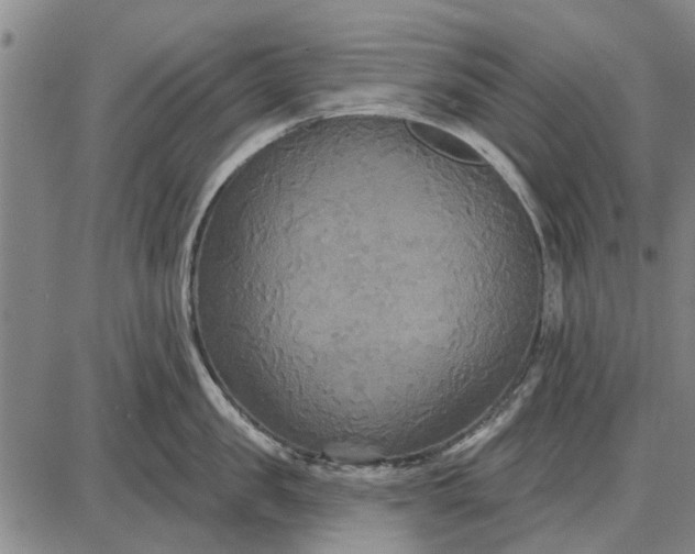 X0000087680957200705181726