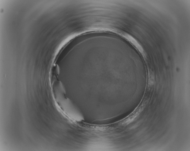 X0000087680958200705181726