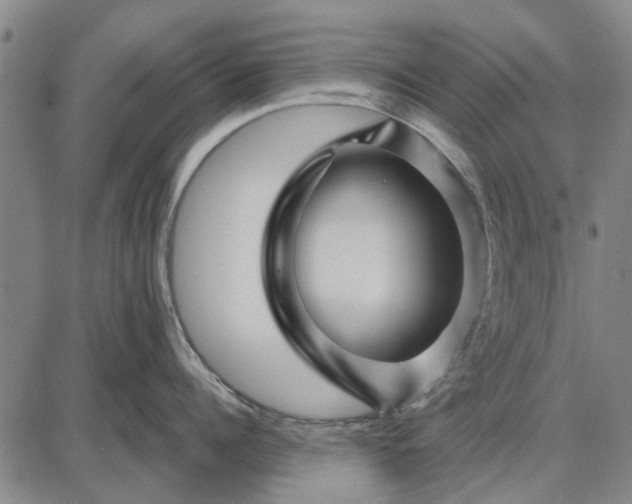 X0000087680960200705181726