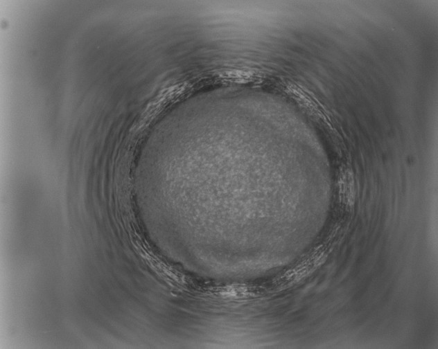 X0000087680961200705181726