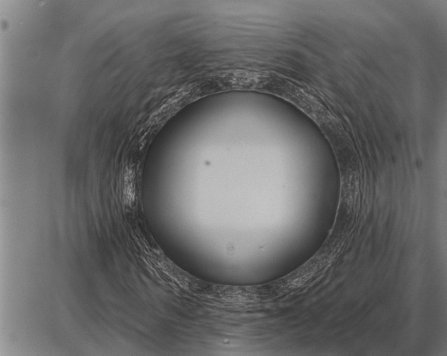 X0000087680962200705181726