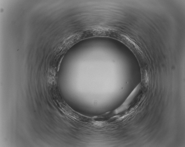 X0000087680964200705181725